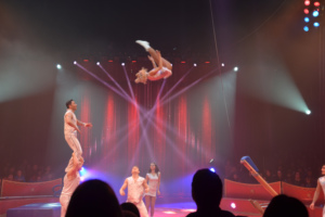 Zirkuspalast 2014