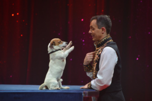 Zirkuspalast 2014