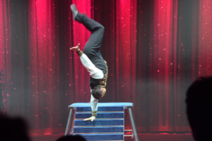 Zirkuspalast 2014