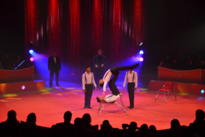 Zirkuspalast 2014