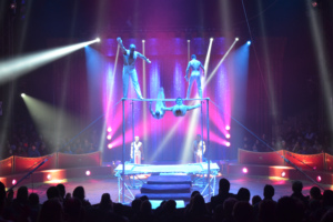 Zirkuspalast 2014