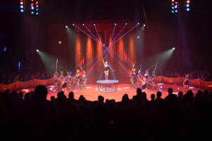 Zirkuspalast 2014